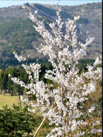 画像07